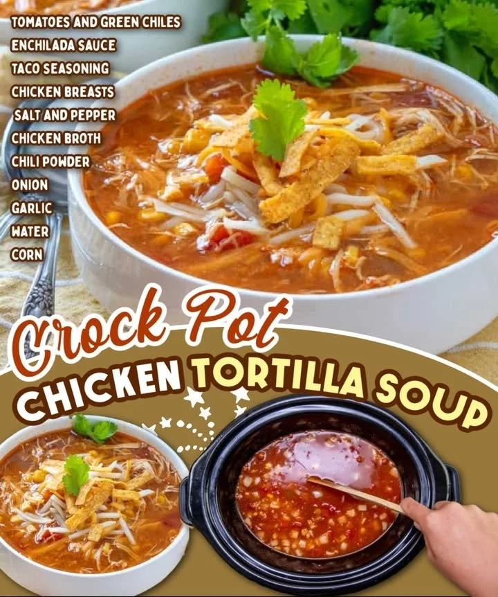 Delicious Crock Pot chicken tortilla soup in a bowl garnished with tortilla strips