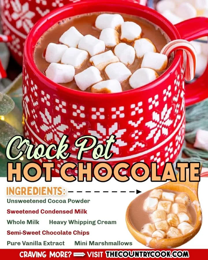 Delicious Crock Pot hot chocolate served in a cozy mug