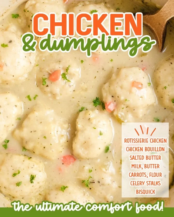 Bowl of easy chicken and dumplings with fresh herbs and vegetables