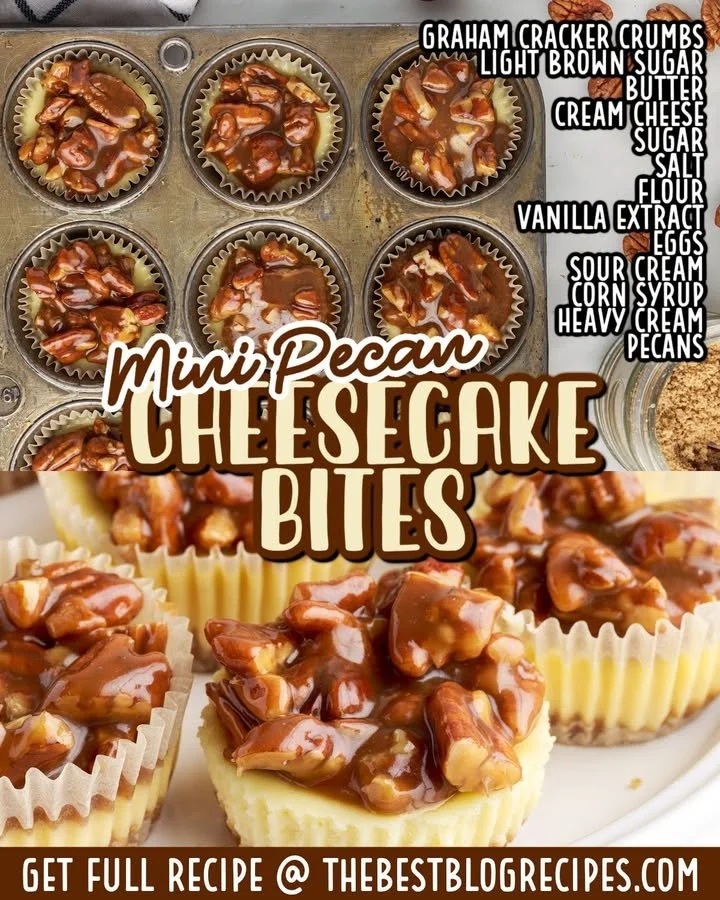 Mini pecan cheesecake bites displayed on a plate, garnished with pecans.