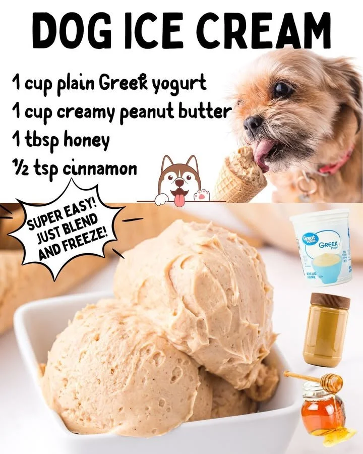 Delicious peanut butter dog ice cream served in a bowl for dogs