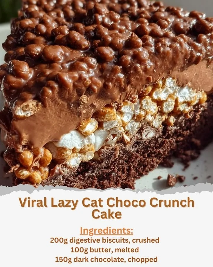 Viral Lazy Cat Choco Crunch Cake topped with chocolate and crunchy layers.