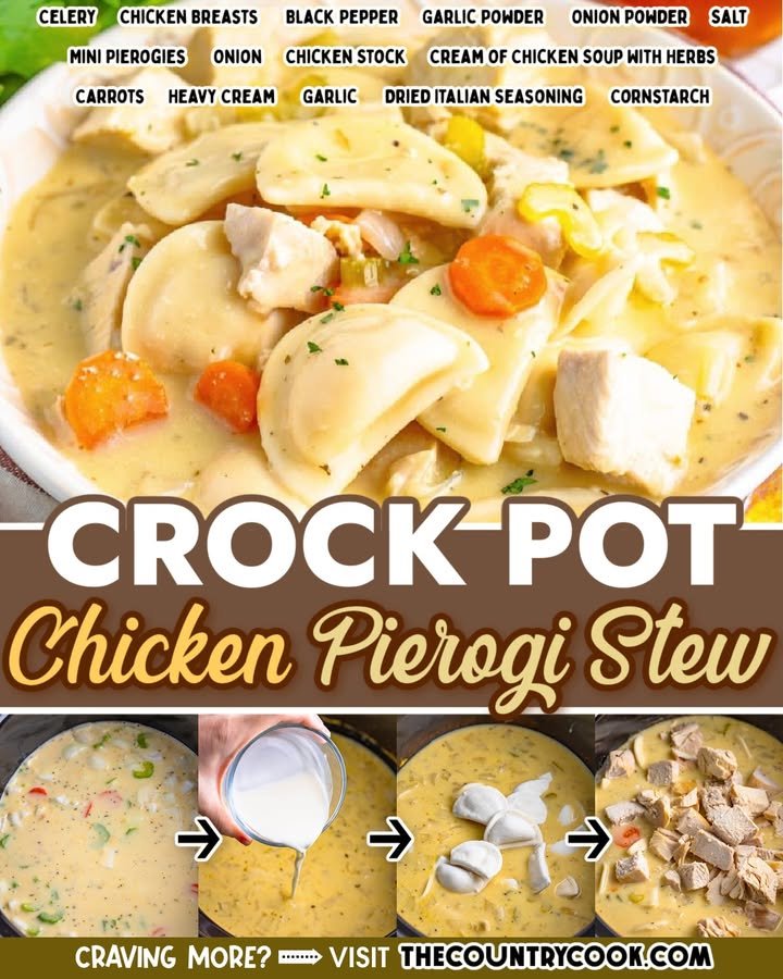 Crock Pot Chicken Pierogi Stew