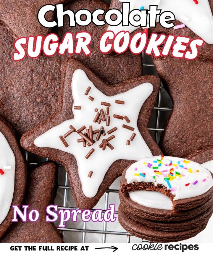 Chocolate Sugar Cookies